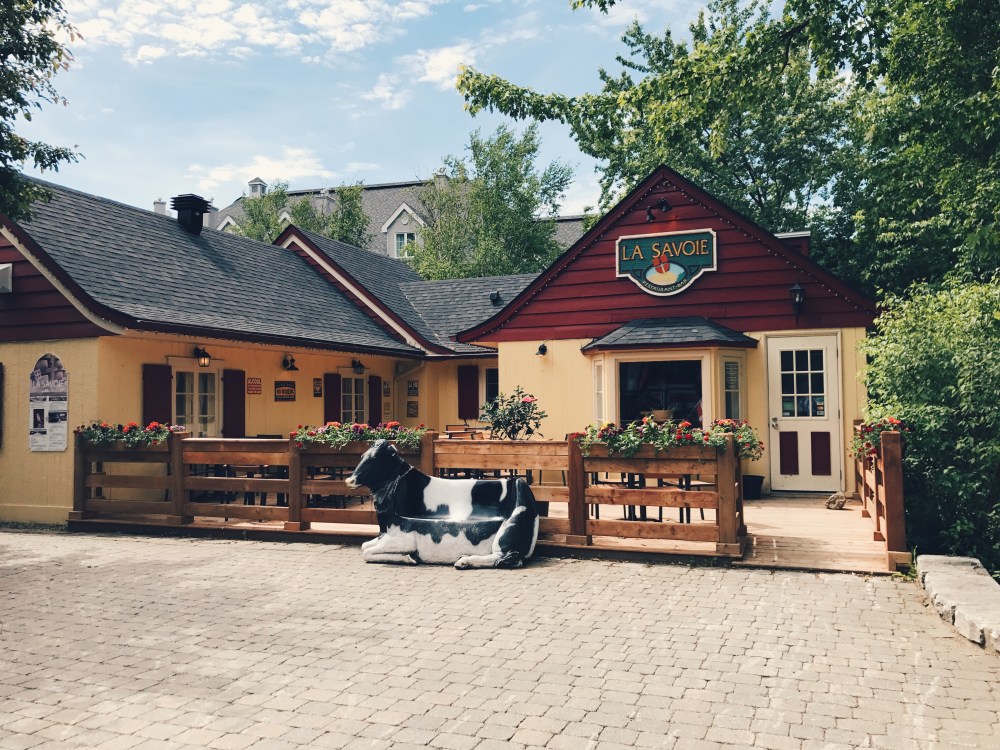 Processed with VSCO with hb2 preset