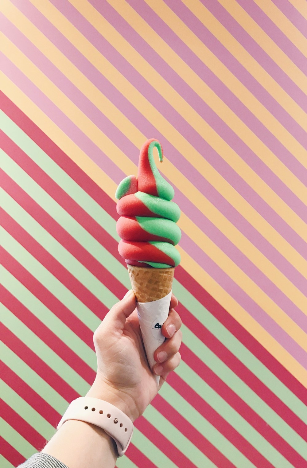 Processed with VSCO with hb1 preset