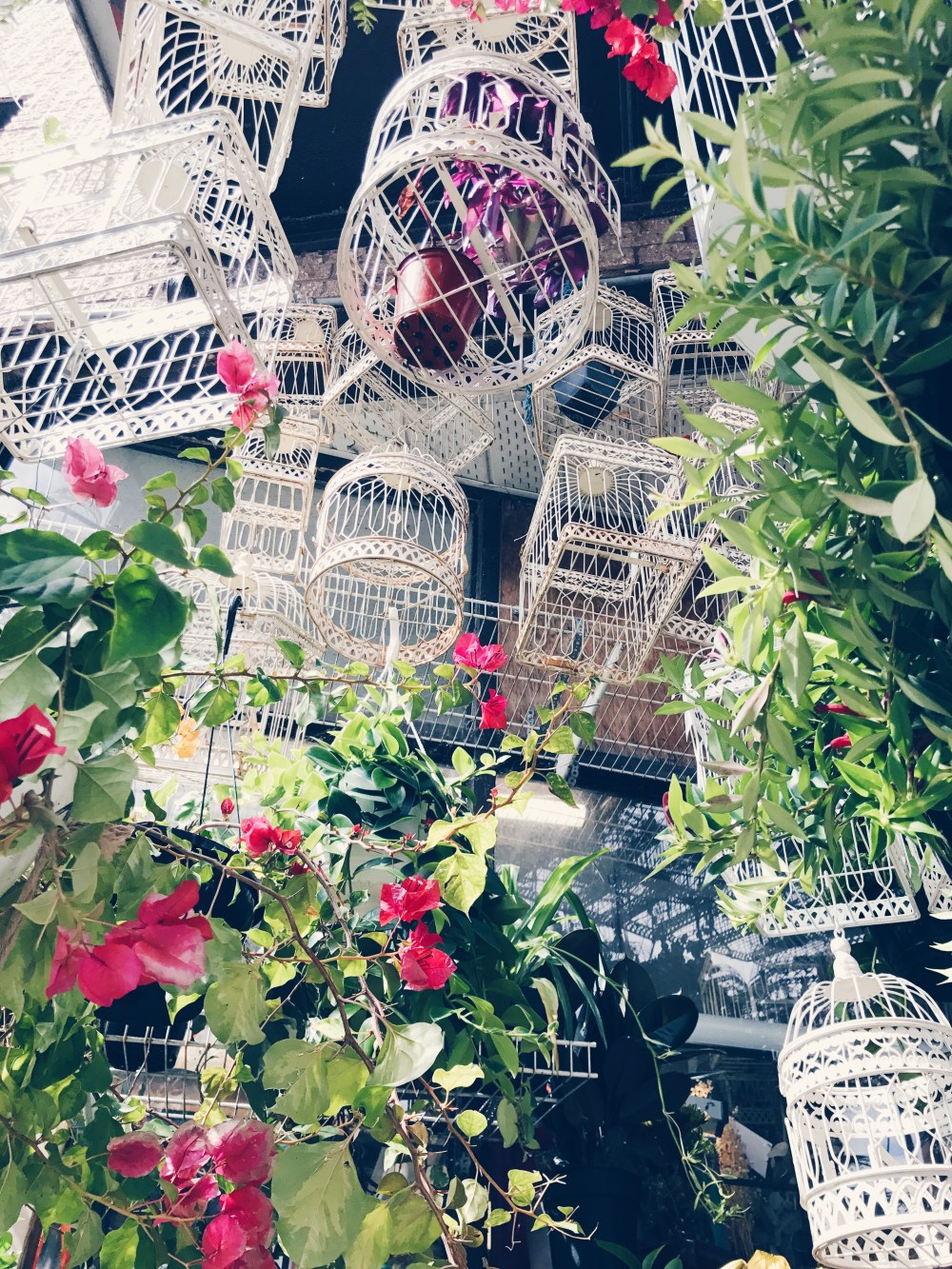 Processed with VSCO with hb1 preset