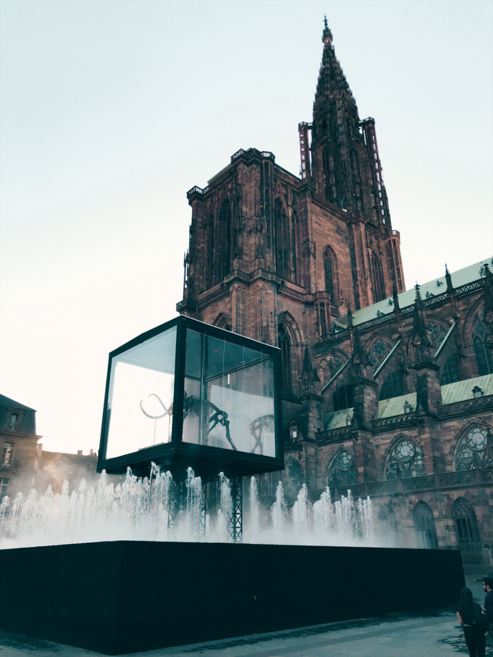 Strasbourg instagrammable