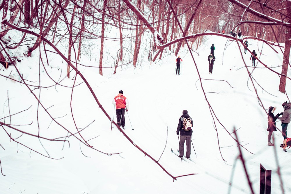 mont royal en hiver
